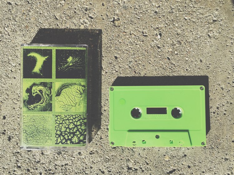 05. Timeghost & Laurie Amat