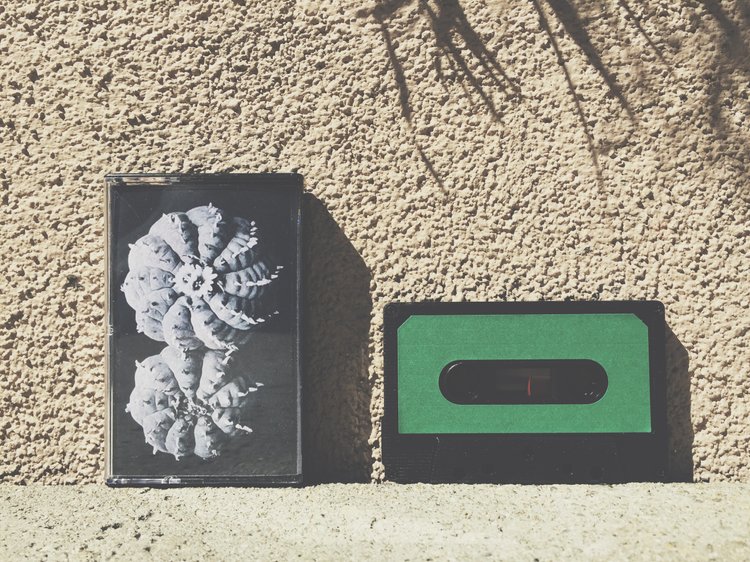 08. HEP!Collective - Cactaceas
