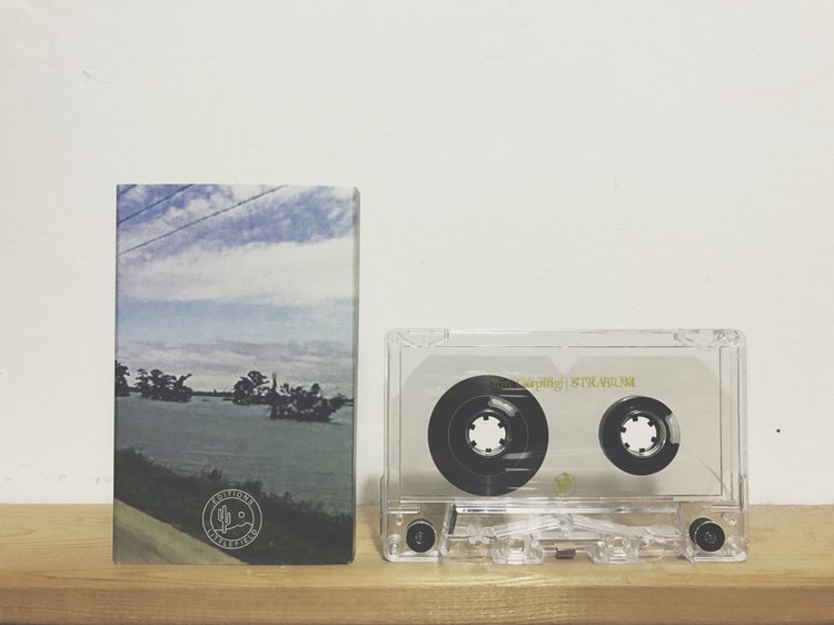 Rin Larping - STRATUM (Editions Littlefield)