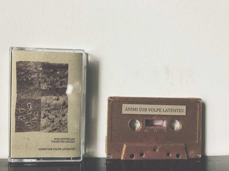 Max Kuiper & Thorsten Solteau - Animi Sub Volpe Latentes (Chondritic Sound)