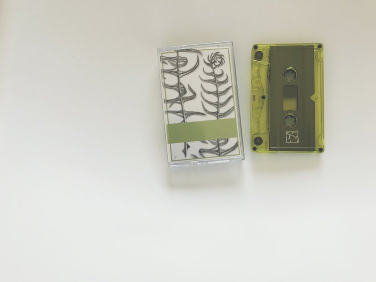 Scattered Purgatory / Eolomea - Heteroticisms Volume 2 (Land Animal Tapes / Kotaktu Collective)